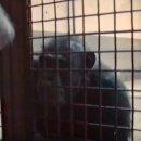 수화농장 이미지