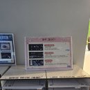 싱싱도서관 | 원주 생각자람어린이도서관 후기, 어른이 추천!