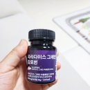 블라썸라이프 파라다이스 그레인 솔직후기｜체지방 관리와 장건강까지