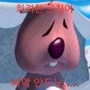 메이저피트니스 이미지