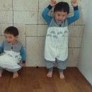 지우 시우 토토로 슬립색 구매 후기