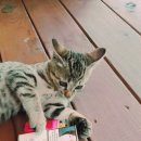 동로석항보건진료소 | 문경 오미자 판매-언제쯤 할까