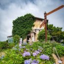 스테이앤드스튜디오여여재 | [충청남도 태안군] 팜카밀레 - 전 견종 가능 · 맹견 입마개 · 목줄 착용 · 배변봉투 지참