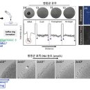 커피방울