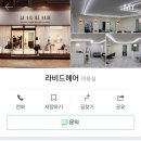 라비드헤어 이미지