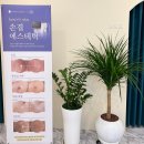 손결에스테틱