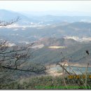 밤재 등산로 이미지