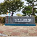 탄금호국제조정경기장 경기장 이미지