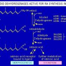 MDSC