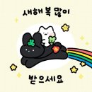 🤍 토요일이 되어서야 올리는 일월 막주를 맞이하는 나으 일상