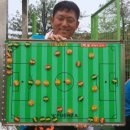 대화인조잔디구장 Daum카페