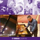 군산악기사 이미지