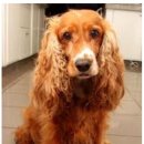 우람동물병원 이미지