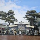 미라클태권도장 | 지산리조트 스키강습 지산 스키 미라클 추천