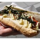 도그스타일 이미지