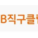 직구리브
