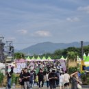 그늘막33 | 볼거리가 반기는 2025 대구 앞산 축제 첫날 후기_주차정보, 봄 축제 추천!! 축제 기간 2025.05.17-18 이틀!