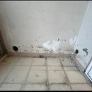 목련마을 상록아파트 이미지