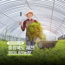 정미농장 이미지