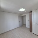 에코파인 이미지