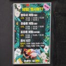 마포동화써비스㈜ | 실내 동물원 테이블에이 홍대점 방문 후기