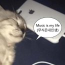 낭만소애