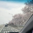 대천해수욕장 오렌지 카페 이미지