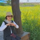 곡성-053 이미지