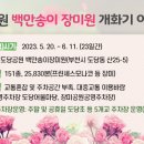 송미장 이미지