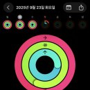 크로스핏 오늘 이미지