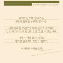 세일야채