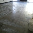 총각네 강아지 이미지