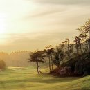 알프스퍼블릭 이미지