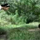 어쩌다가 이미지