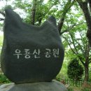 3월24일,일요일,오후,우룡산,대연수목원 도보 이미지