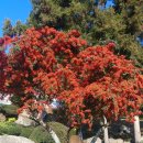 늘푸르름농장 이미지