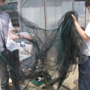 k1한국바다낚시터 이미지