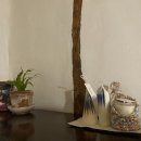 애월류가 이미지