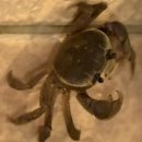 파리바게트 앞 교통섬 | 괌 PIC 4박 5일 후기 1 (pic 골드패스 로얄클럽룸 / 3인가족 / 7세 아이 동반 / 티웨이 항공)