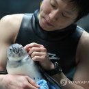 아쿠아플라넷 제주 이미지