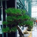 영동농장 이미지