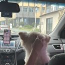 오소록 하우스 이미지