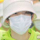 고양이는외계인 이미지