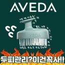 촘촘 스칼프 | 아베다 스칼프 솔루션 마사져 3년 사용 후기 두피 냄새 비듬 각질 고민 해결템 내돈내산