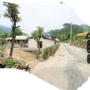 경남 창원시 마산회원구 프로지오 아파트||| 안동대덕사||| 우리나라 5대 명찰|||능금빛 순정 이미지