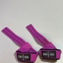 라이언스짐 이미지