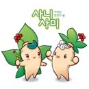 함양산삼직거래유통
