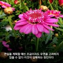 믿음 Daum카페
