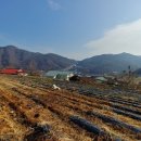 충도리농장 이미지