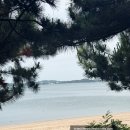 실미도 | <인천> 실미도 차크닉 후기｜평일 방문 꿀팁, 매표소 오른쪽 자리 추천!